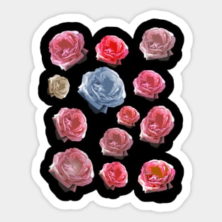 multi roses Sticker